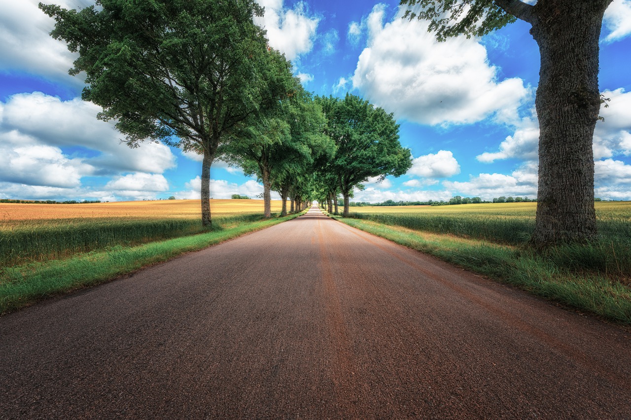 avenue, road, landscape-6993443.jpg