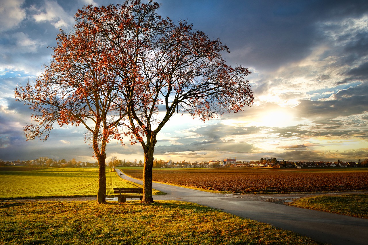 path, heaven, clouds-4896281.jpg